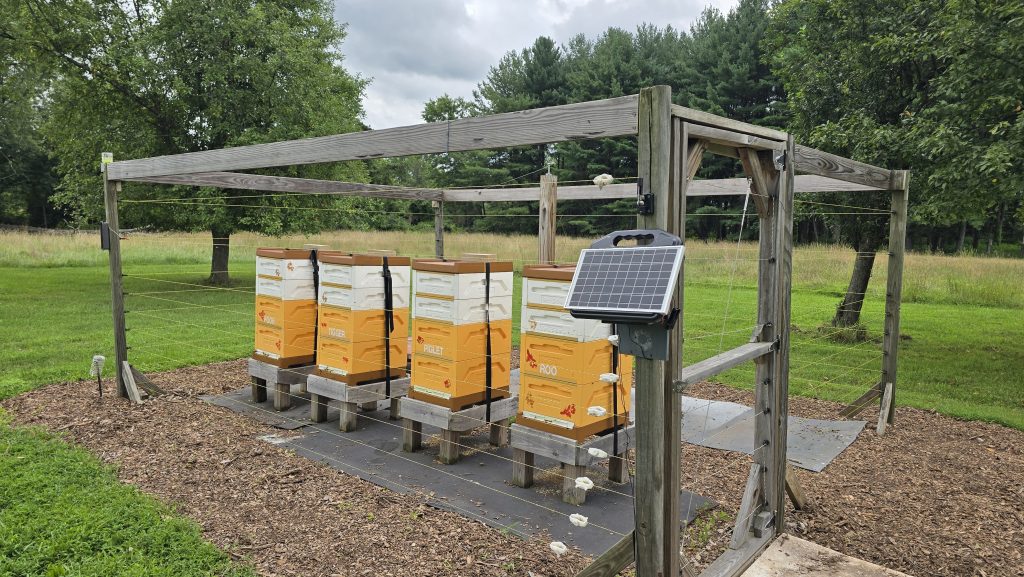 519 Apiary circa 2025