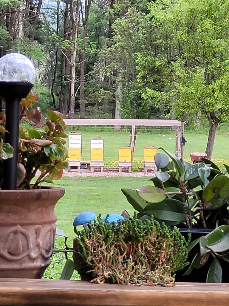 Apiary View From Deck